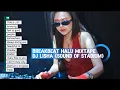 Download Lagu BREAKBEAT HALU MIXTAPE DJ LISHA (sound of stadium)