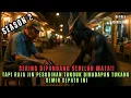 SEASON 2 - HANYA SEORANG TUKANG SEMIR SEPATU !! TAPI RAJA JIN TUNDUK DI HADAPANNYA