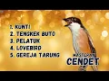 Lagu MASTERAN CENDET MATERI  KUNTI,  TENGKEK BUTO, PELATUK,  lOVEBIRD, GEREJA TARUNG
