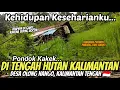 Lagu SUDAH DI GANTI! KEHIDUPAN KESEHARIANKU DI PONDOK SEDERHANA, PEDALAMAN HUTAN KALIMANTAN TENGAH 🇮🇩 🔥