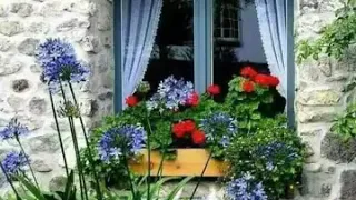 فيروز ياراعي القصب مع اجمل مناظر طبيعية خلابة 