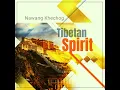 Wanting Peace - Nawang Khechog
