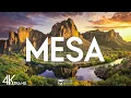 Top 10 Best Things to Do in Mesa Arizona Mesa Travel Guide 2025