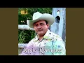Download Lagu Catira Pelo Amarillo