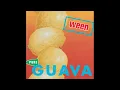 Download Lagu Ween - PURE GUAVA (FULL ALBUM)