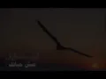 ايوب طارش 👌عيش حياتك 😊💓