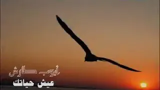 ايوب طارش  عيش حياتك    دندنها