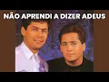 Lagu Não Aprendi a Dizer Adeus – Leandro E Leonardo | Clássico do Sertanejo Romântico (SERTANEJO ANTIGO)