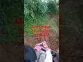Download Lagu maaf jendral saya blum merdeka..yang merdeka hanya kliarga pejabat jendralll