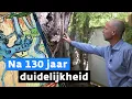 Download Lagu Nederlander ontrafelt groot Van Gogh-mysterie