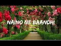Download Lagu Gold - Naino Ne Baandhi (Lyrics video)|Akshay Kumar