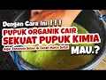Lagu DENGAN CARA INI, PUPUK ORGANIK CAIR BISA SEKUAT PUPUK KIMIA. MAU.?? | Tanaman Subur \u0026 Tanah Sehat