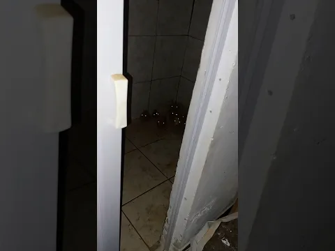 SÓ VEJA SE VOCÊ FOR UMA PESSOA FORTE POR QUE ENCONTREI AS CRIATURAS SE ORGANIZANDO PARA O ATAQUE