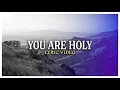 Download Lagu Joshua Aaron 🎶 You Are Holy (As for Me and My House) 🎵 Lyric Video