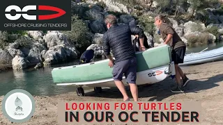 Turtle-spotting Adventure In Our OC Tender In Turkey!