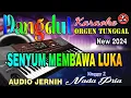 Download Lagu Senyum Membawa Luka - Karaoke (Nada Pria) Meggy Z || Dangdut Orgen Tunggal