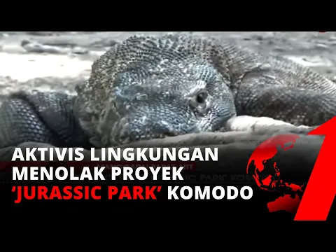 Polemik Jurassic Park Komodo, Proyek Tetap Berjalan Meski Dapat Banyak Penolakan | tvOne