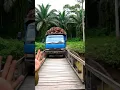 Download Lagu Truk bermuatan kelapa sawit terjun ke sungai #kelapasawit  #truck #sawit #palmoil