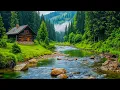 Download Lagu Helende harmonie: muziek voor het hart 🌿 Ontspannende muziek voor stressverlichting