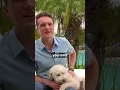 How Do You Tell If A Breeder Is A Puppy Mill