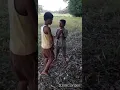 Download Lagu PADI  SE   TAI   MATI  KAN   KAPI  SE