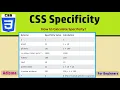 CSS Specificity How to Calculate Specificity Specificity important 47th Adisma
