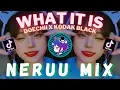 Download Lagu Doechii - What It Is feat. Kodak Black (Neruumix Bootleg) DJ Viral Tiktok 2023 #doechii #kodakblack