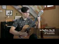 Mauro Giuliani - Etude No. 1 (Op. 50, Le Papillon)