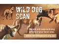 Wild Dog Scan App tutorial