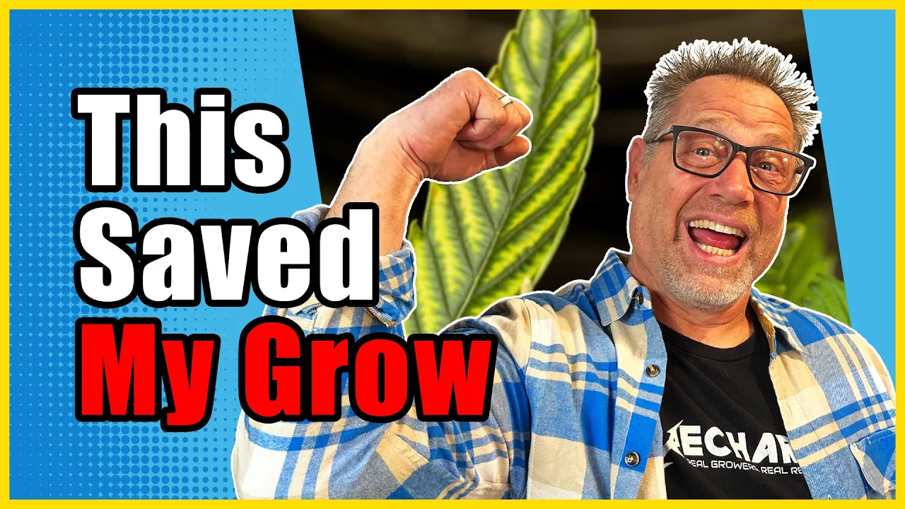 Nutrient Problems Almost Ruined My Grow Until I Learned THIS