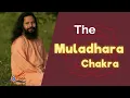 Download Lagu The Muladhara Chakra