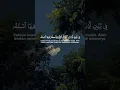 Download Lagu Surat An Nur Ayat 36 || KH Muammar ZA