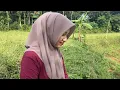 Download Lagu BIKIN KAGET😲 DENGAR ISI HATI GADIS DESA CANTIK LUCU 🥰