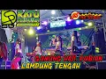 Download Lagu 🟢RATU AUDIO LIVE GUNUNG HAJI, PUBIAN LAMPUNG TENGAH