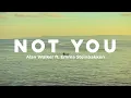Download Lagu Alan Walker - Not You (Lyrics) ft. Emma Steinbakken