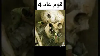 سبحان الله قوم عاد عمالقه الطول 