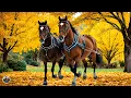 Download Lagu Осень - Красивая музыка для души! Эту музыку можно слушать вечно! Осенняя Мелодия Любви