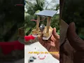 Download Lagu Solar Power Boat Useing Dc Motor | School Science Project #shorts #solar #dcmotor