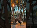 Download Lagu menikmati lagu dan susana terbenamnya matahari di taman sari.✨ #fyp #youtube #shorts