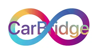 Guide get app CarBridge on ios apk
