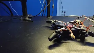 SMARS Quad Walker Walk Cycle System Check