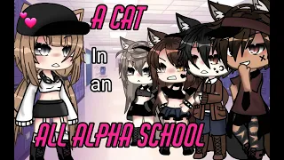 a Cat in an all Alpha School 💕 {Glmm} English