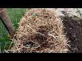 How To Condition Your Straw Bale Garden