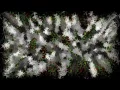Processing Sketch Swarm Intelligence 101