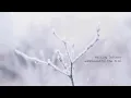 Taylor Swift - evermore (Official Lyric Video) ft. Bon Iver