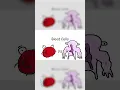 Download Lagu Red vs White Blood Cells