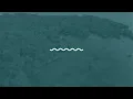 Simon Wester, Rasmus H Thomsen - This is for You