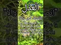 Download Lagu 99 Names of Allah | Allah Ke 99 Naam | Al-Adl Asmaul Husna With Benefits | Azan \u0026 Poetry Shorts