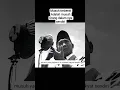 Download Lagu musuh terberat ada musuh orang dalam nya sendiri #politik #kesejahteraan #damai #merdeka