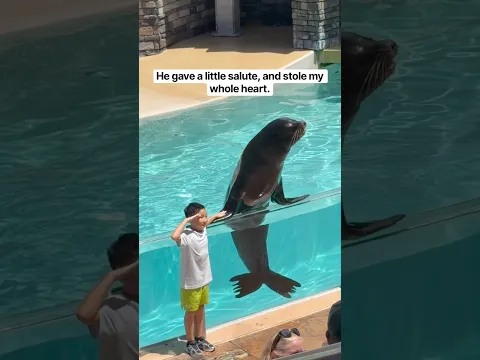 Adorable #seaworldorlando